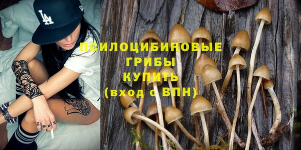 молекула духа Алексеевка